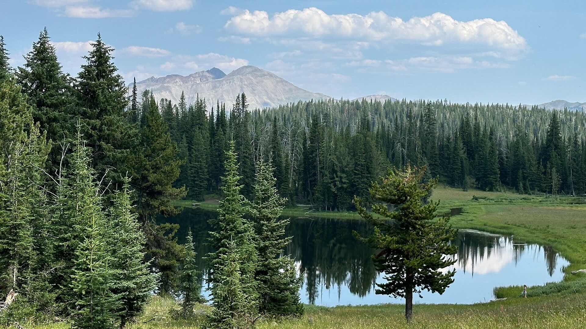 Yellowstone National Park Bechler River